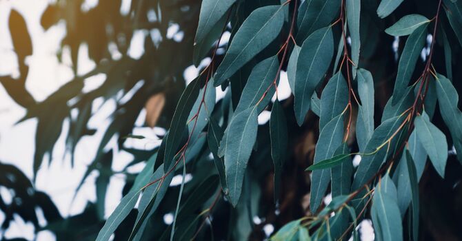 Revolutionizing Healthcare: How Citadel Primary Care is Redefining Patient-Centered Medicine