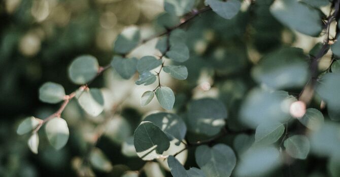 Revolutionizing Healthcare: How Citadel Primary Care is Redefining Patient-Centered Medicine