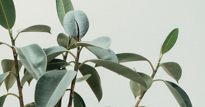 Ice Or Heat, Which Is Better When You're Hurt?