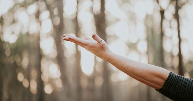 Comprehensive Labs & Diagnostics